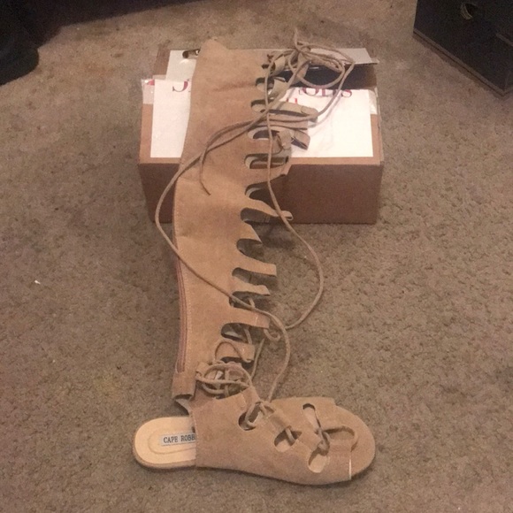 Not your average gladiator - Picture 1 of 1